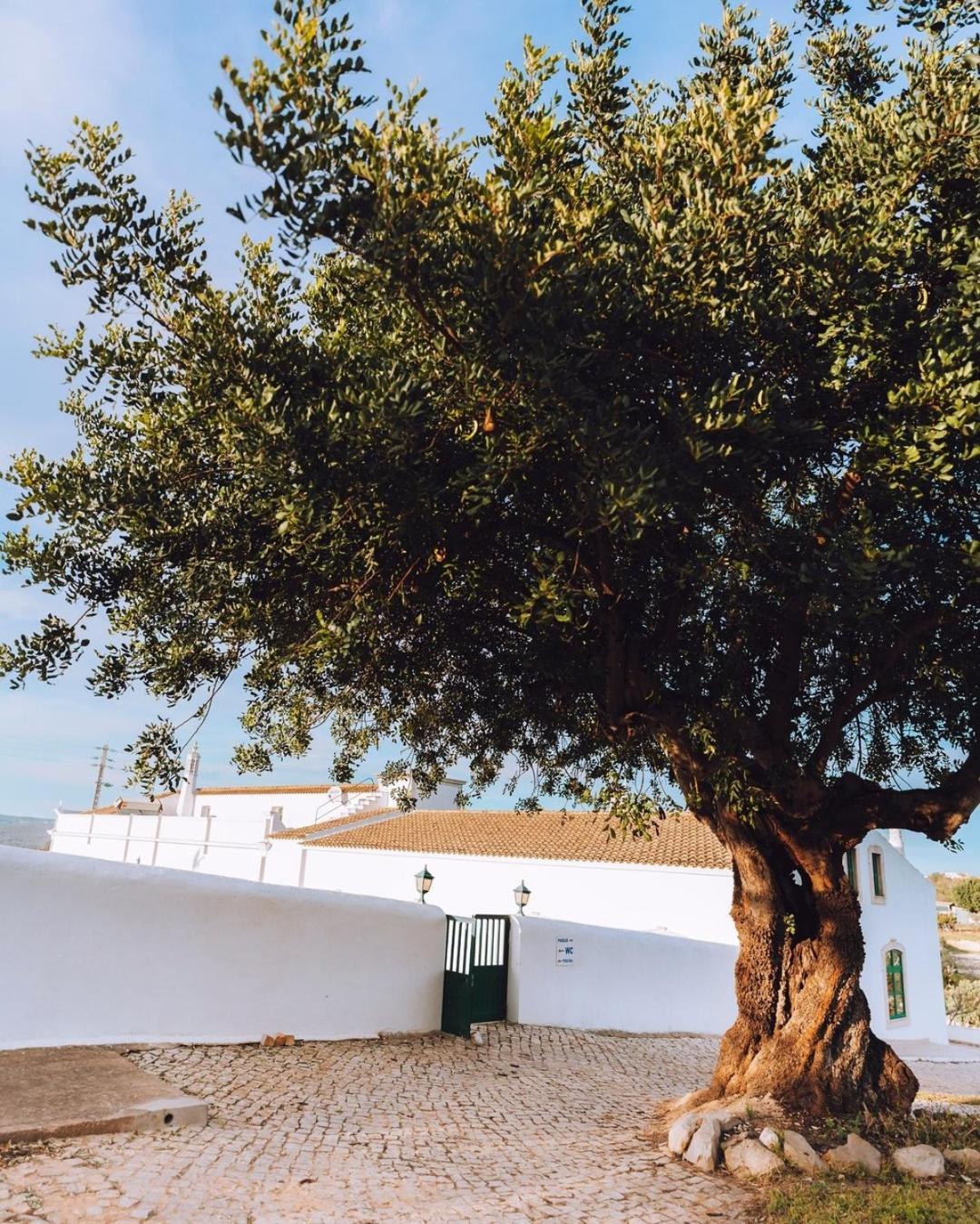 Cerca Velha - Country House Albufeira Exterior foto