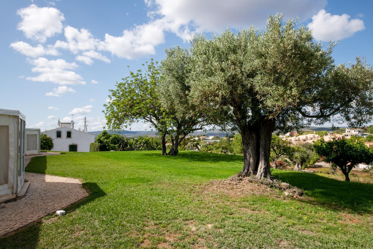 Cerca Velha - Country House Albufeira Exterior foto
